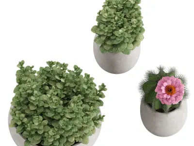 Set Ronan Ficonstone Indoor vs Outdoor Planters small 3D model