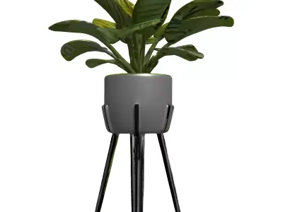 Modern Potted Houseplant with Metal Stand Low-poly 3D model