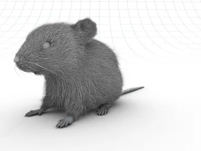 Mouse- realistic style - White fur - rigged Low-poly 3D model