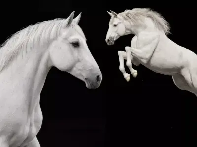 White Horse Rigged Animated 3D model
