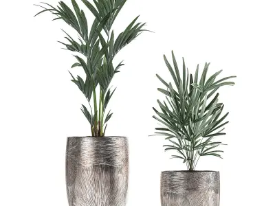 Collection of decorative plants in luxury flowerpots 793 3D model