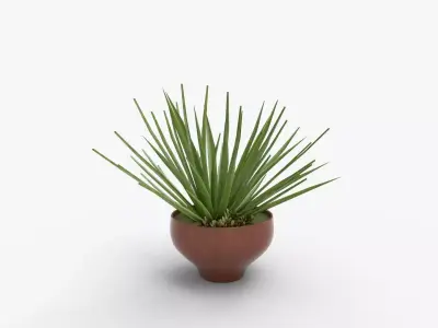 Aloe vera plant in Terra Cotta Planter 3D model
