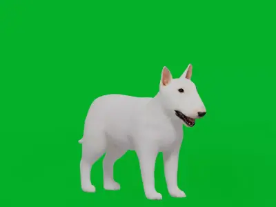 Bull Terrier Puppy Dog Low-poly 3D model