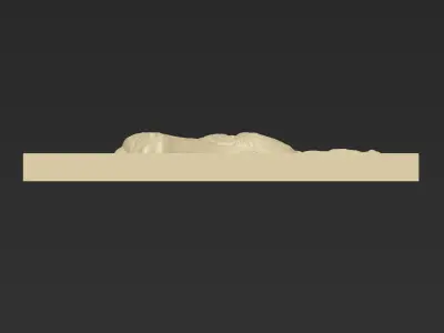 Wolf Head A10 3D print model