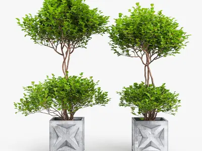 Tropical bush Low-poly 3D model