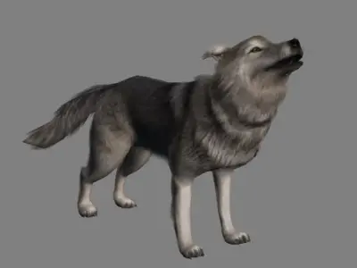 Wolf Animations-Lowpoly-Game Ready Low-poly 3D model