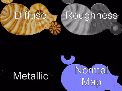 Spiral Seashell model pack Low-poly 3D model