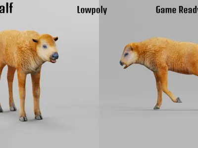 American Bison Calf Animal Low-poly 3D model
