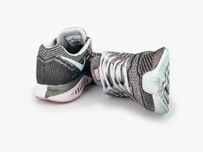 Nike Zoom Structure 18  3D model