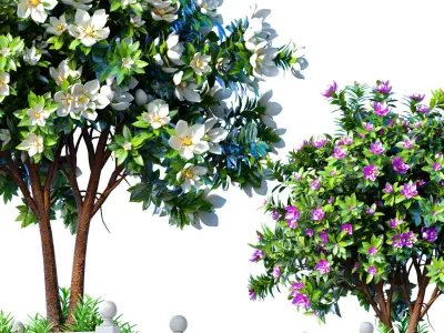 Decorative tree garden in planter pot decoration Provence style 3D model