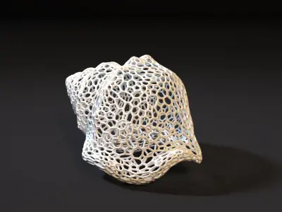 Seashell  3D print model