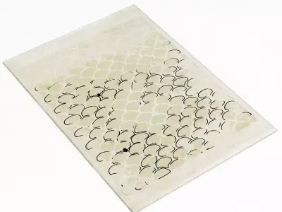 Brabbu KOI RUG 3D model