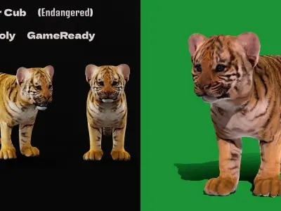 Tiger Cub Mammal Low-poly 3D model