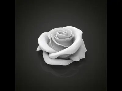 Realistic rose flower 3D print model