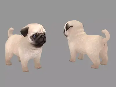 Cartoon pet puppy - Paco - baby dog Low-poly 3D model