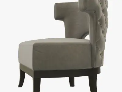 Brabbu KANSAS 3D model