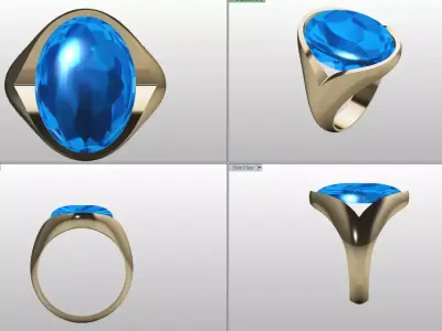 Sport ring 3D print model buy
