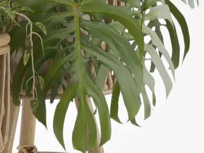 Plant-set-002 3D model