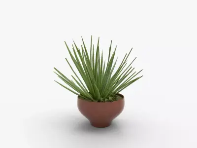 Aloe vera plant in Terra Cotta Planter 3D model