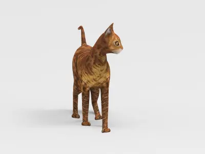 3d Cat Rigged model Low-poly 3D model