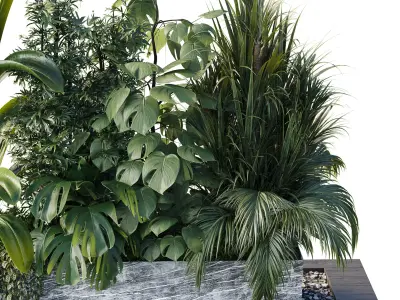 Outdoor plant box- Trees and shrubs in pot Set 145 Low-poly 3D model