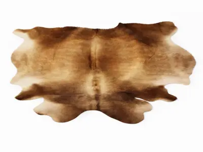 Cowhide Rug Brown 3D model