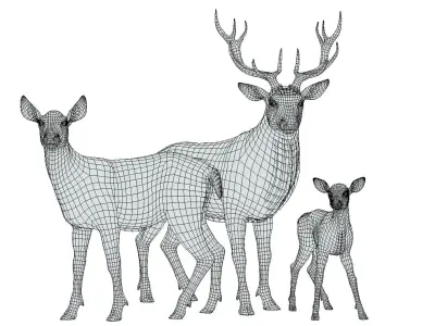 Red Deer Family Low-poly 3D model