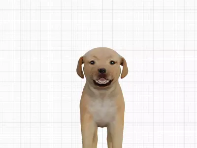 Golden Retriever Puppy Dog Low-poly 3D model