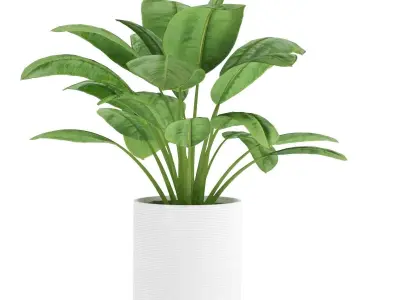 Plant-Set-001 plant in pot Free 3D model