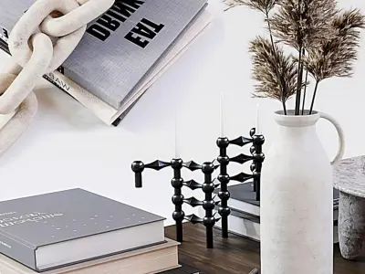 Decorative Combination Modern Decoration 3D model