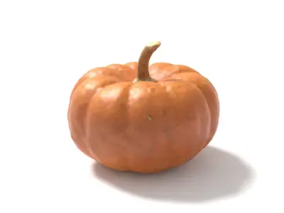 Decorative Gourd Pumpkin Squash Orange 3D Scan 3D model