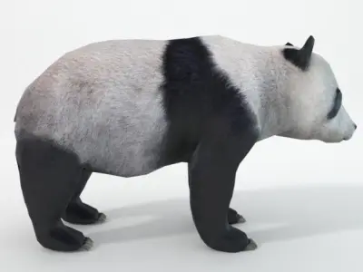 Panda bear Low-poly 3D model order