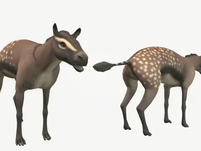 Hyracotherium Low-poly 3D model