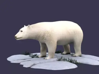 White Bear polar bear animal Ar VR animal 3D model