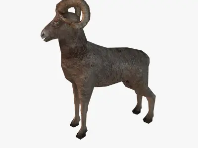 Low poly ram Low-poly 3D model