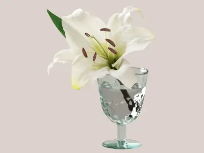 Lilium flower 3D model