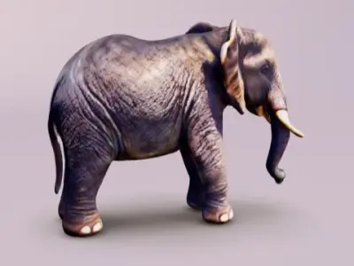 Elephant adult baby 3D model