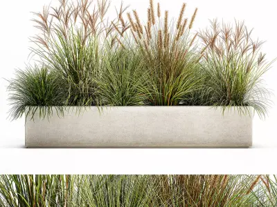Potted reeds for landscaping 1074 3D model