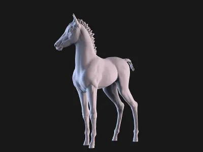 Horse Foal 3D print model