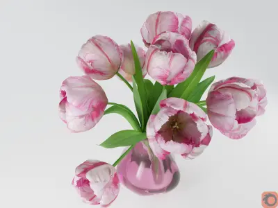 Pink Tulips 3D model