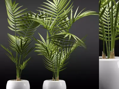 Plants 110 3D model