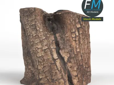 Wood log 1 3D model
