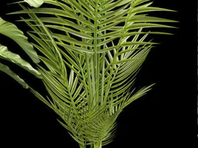 plants set 127 3D model