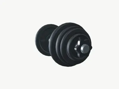 Exercise Metal Dumbbells  Low-poly 3D model