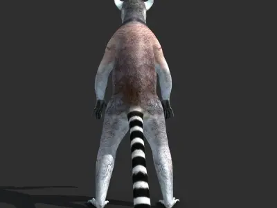 Ring Tailed Lemur 3D model