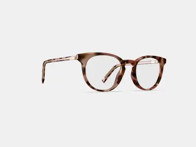 Sadie Eyeglasses in Sesame Tortoise with Polished Gold 3D model