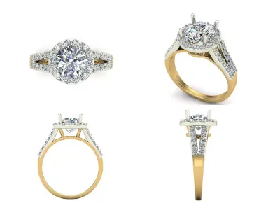 Ring bi107 3D print model