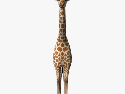Giraffe Low-poly 3D model 13