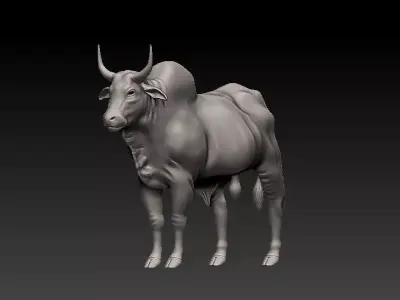 3D Bull 3D model