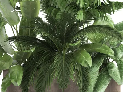 Houseplants in a flowerpot for the interior 919 3D model